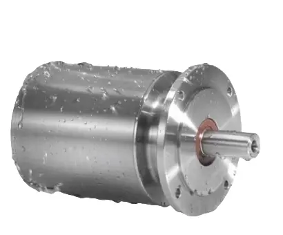 Custom Submersible Motors