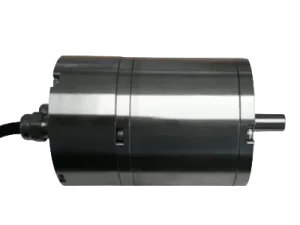 Custom Submersible Motors